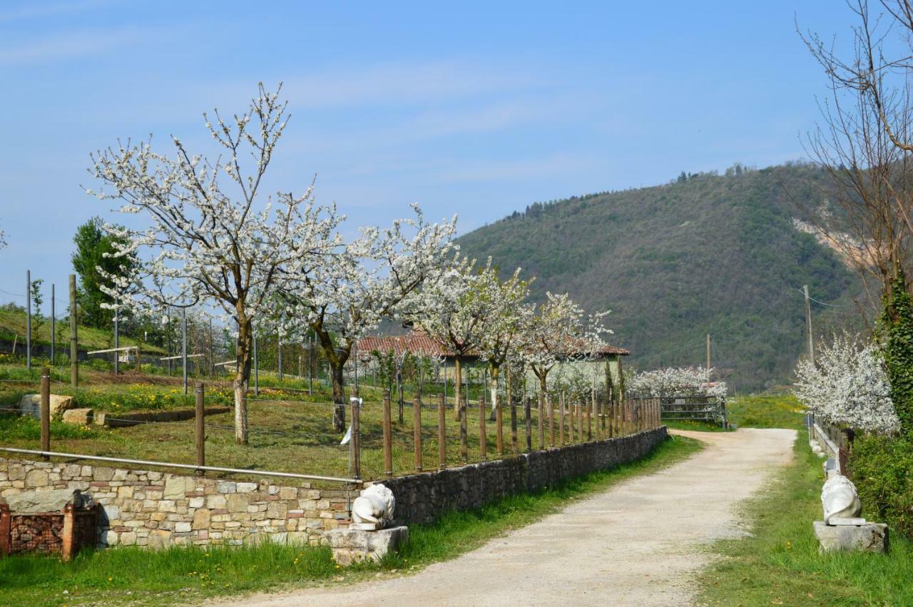 Cascina Valsorda Bed and Breakfast Concesio Exterior foto