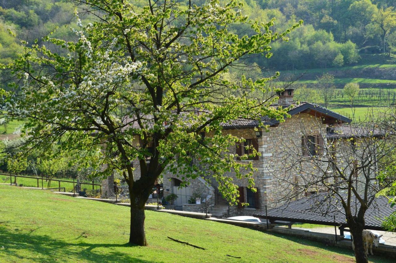 Cascina Valsorda Bed and Breakfast Concesio Exterior foto